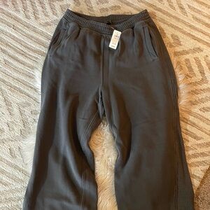 NWT Aerie getaway high waisted trouser